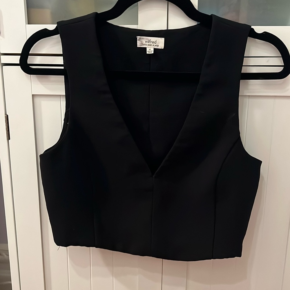 Aritzia Wilfred top